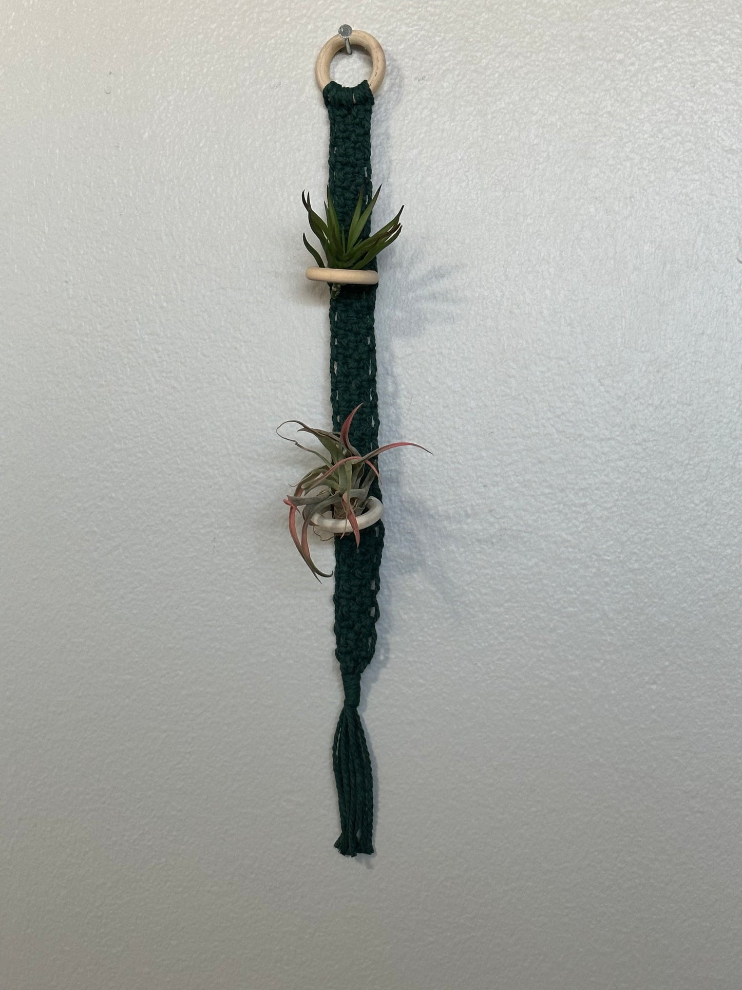 Air Plant Hanger