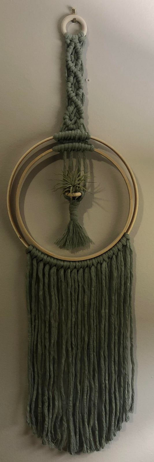 Double Hoop Air Plant Hanger